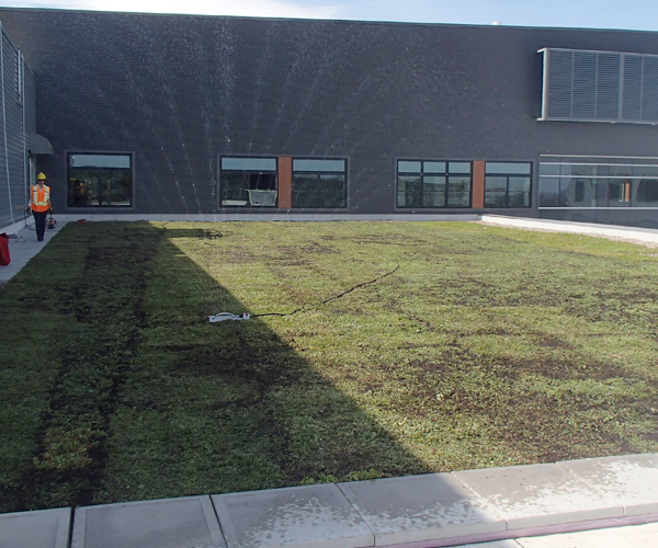 cpa high green roof