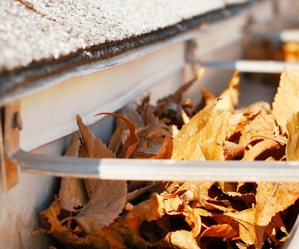 Gutter Cleaning
