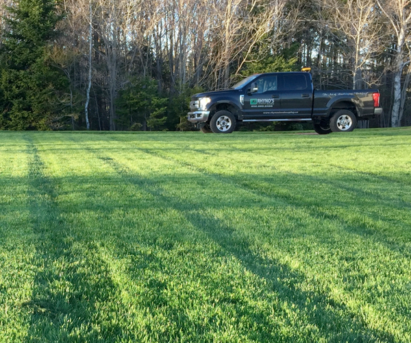Lawn Care