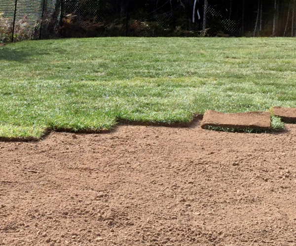 Lawn Installation services in hrm
