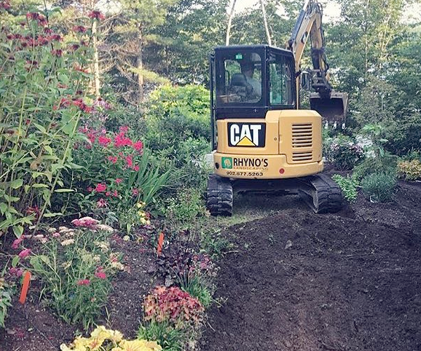 our team operating a cat while landscaping