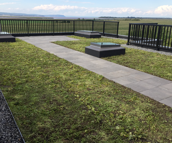 private green roof in the annapolis valley