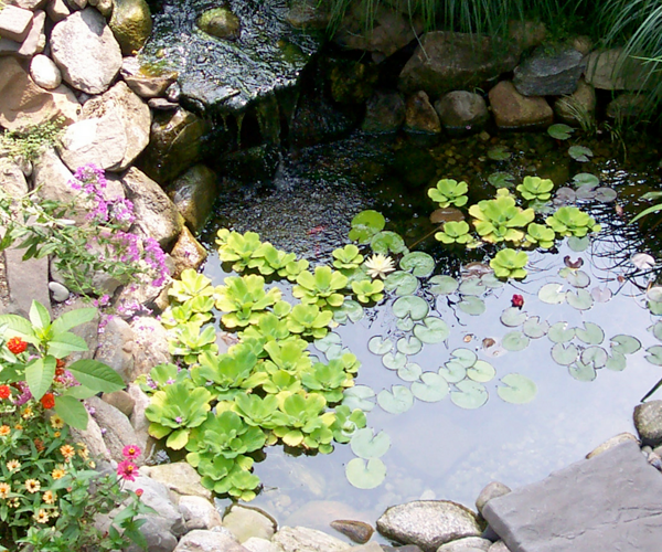 water features and ponds installs in hrm