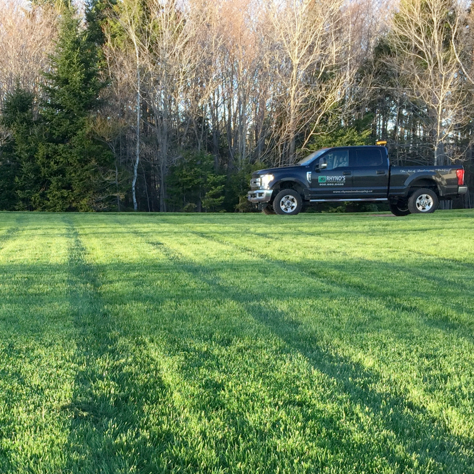 professionally landscaped lawn by rhynos landscaping