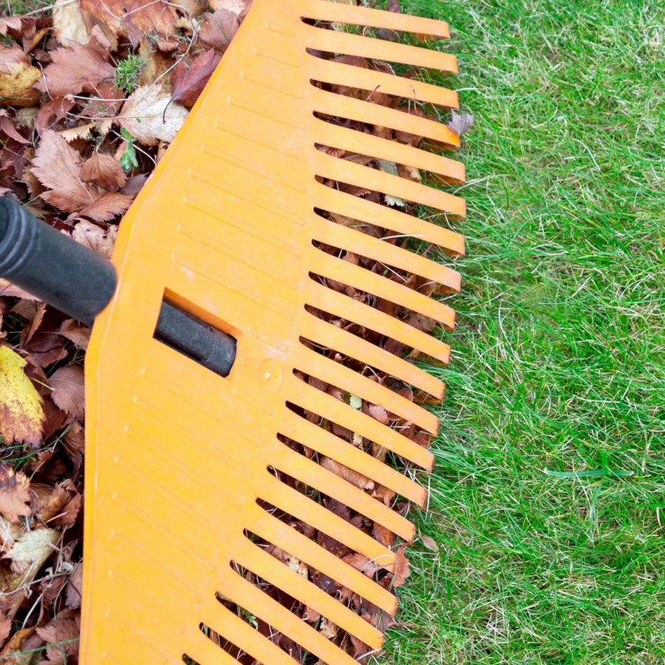 raking up the leaves for a fall clean-up